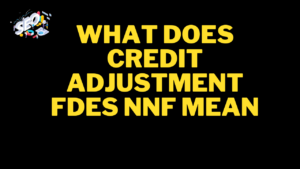 what does credit adjustment fdes nnf mean